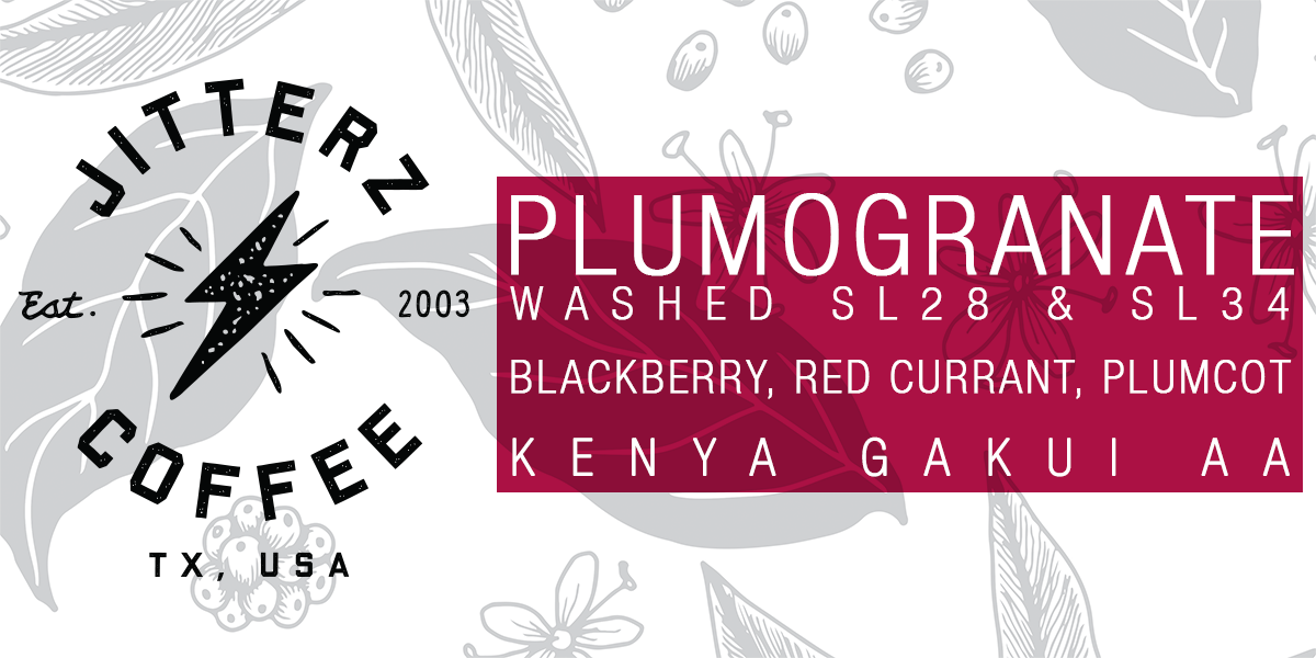 PLUMOGRANATE - KENYA GAKUI AA