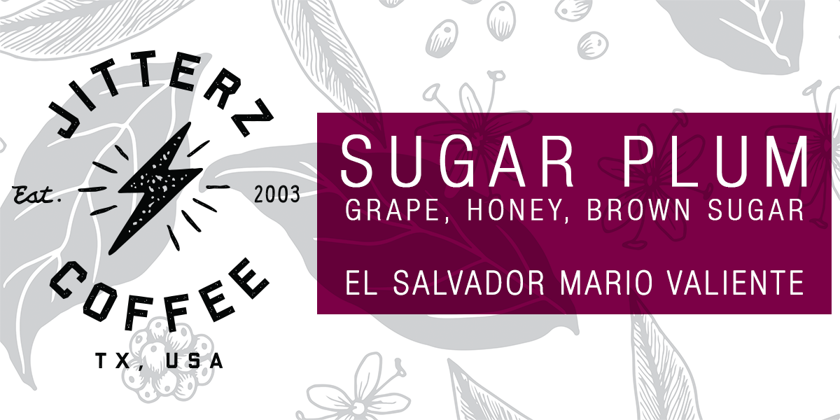 SUGAR PLUM - EL SALVADOR MARIO VALIENTE - SPX