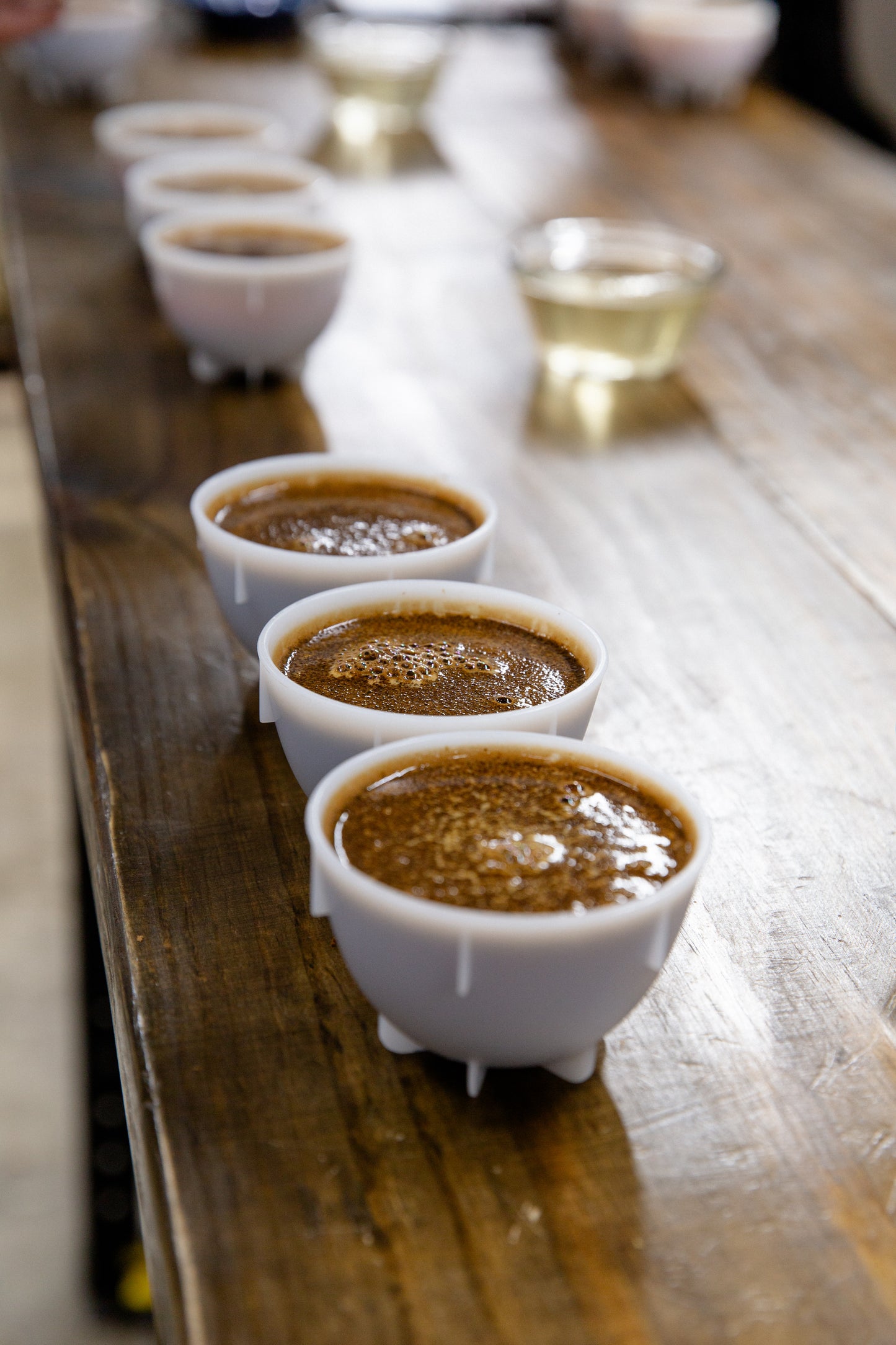 Tasting Workshop
