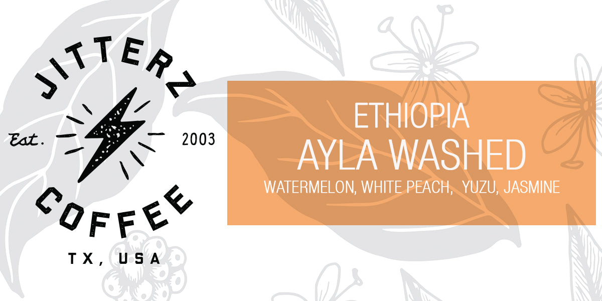 ETHIOPIA AYLA SHANTAWENE- WASHED