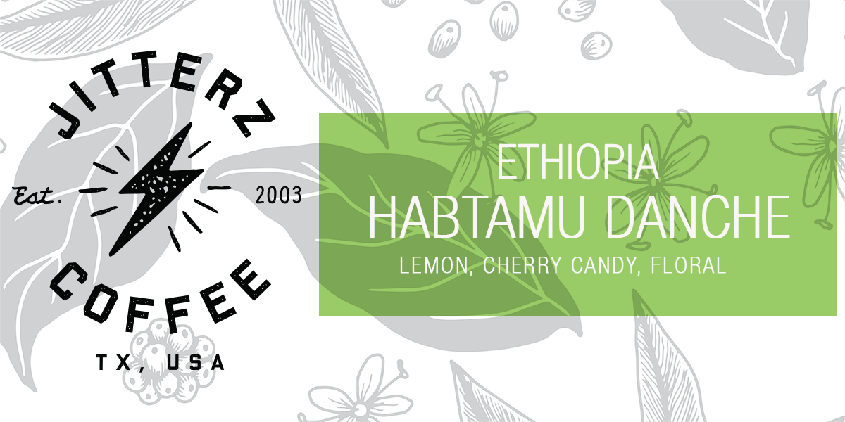 ETHIOPIA HABTAMU DANCHE