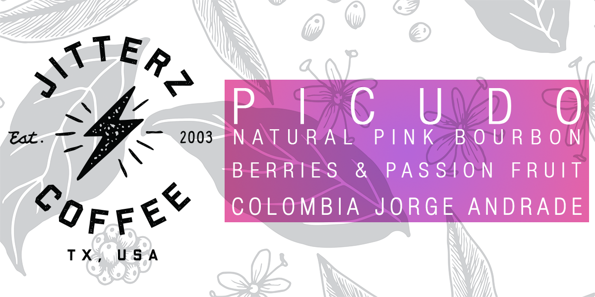 PICUDO - COLOMBIA JORGE ANDRADE