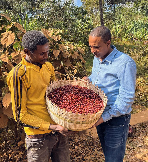 ETHIOPIA SHAKISHO FIRE - SPX